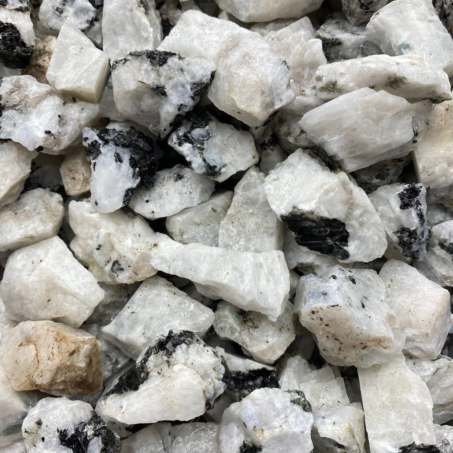 Moonstone, Rainbow - Raw