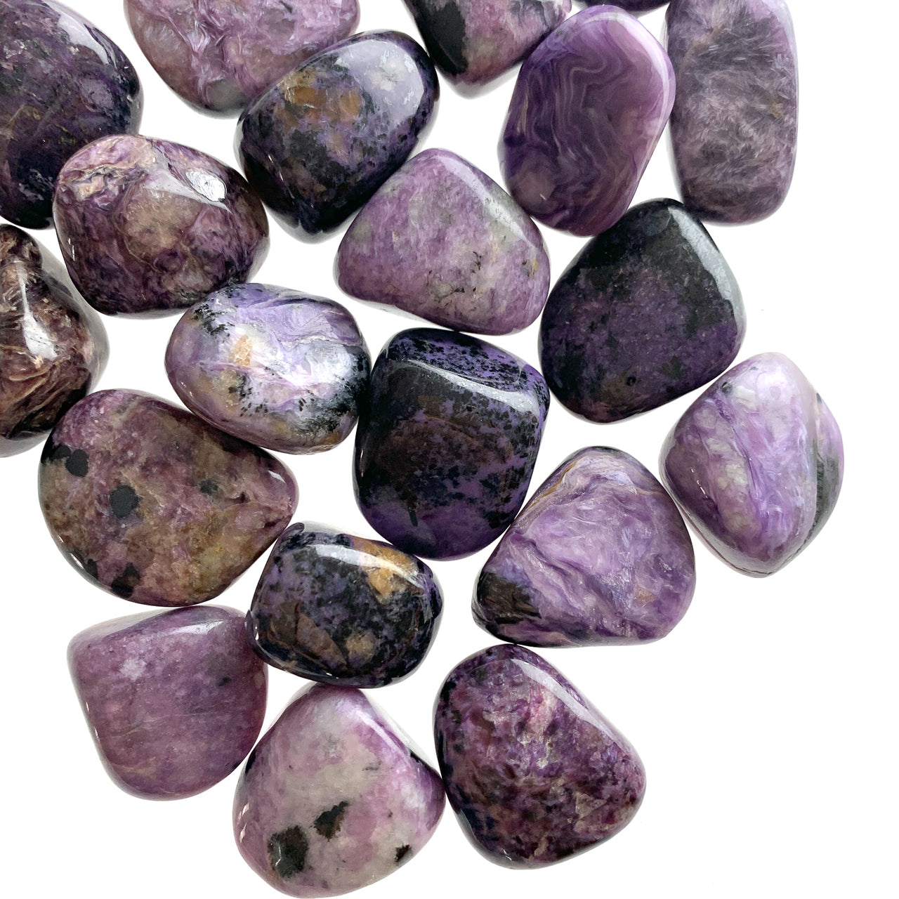 Charoite, Tumbled - Tree Of Life Shoppe