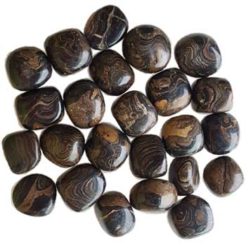 Stromatolite Tumbled - Tree Of Life Shoppe