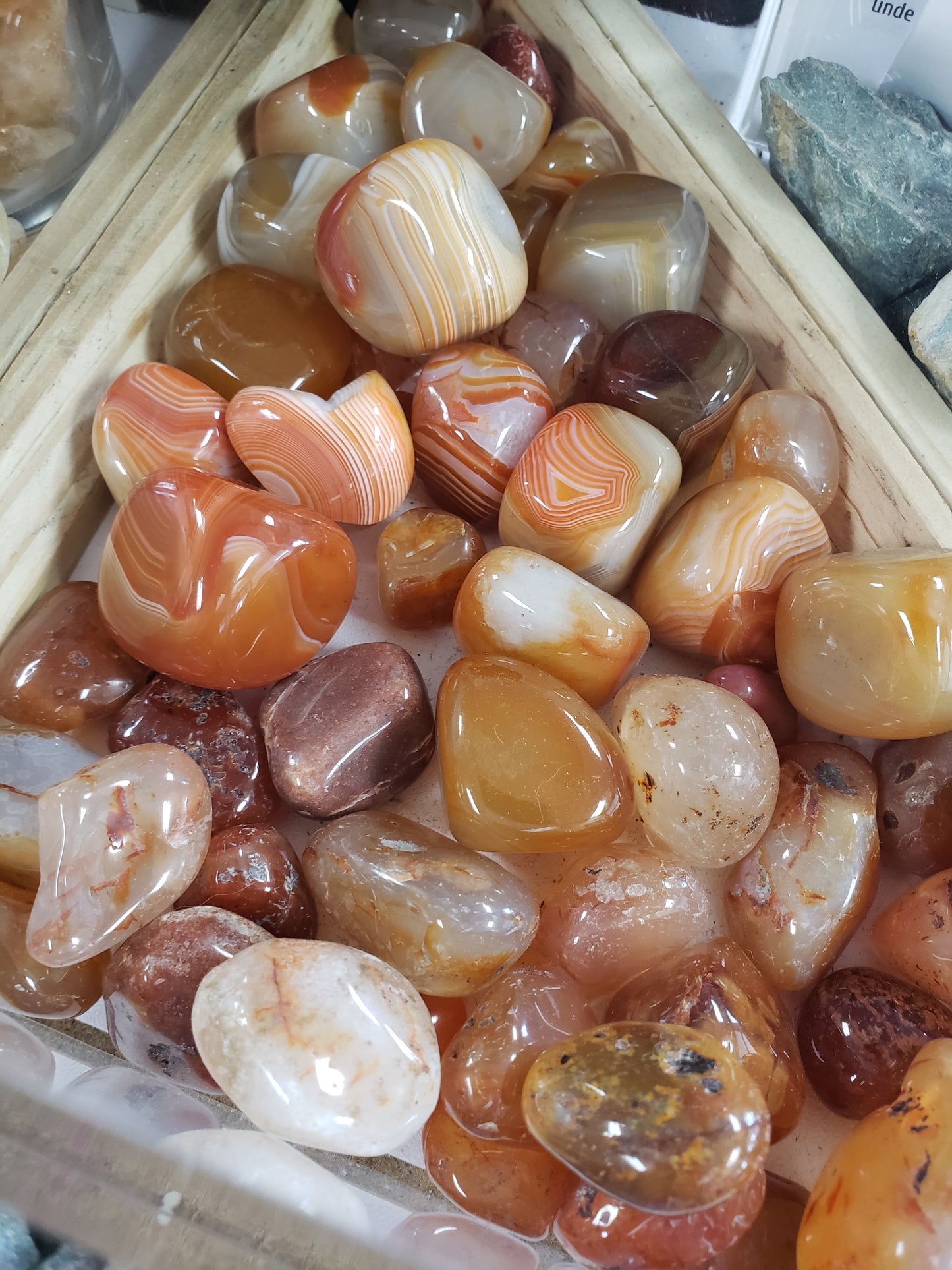 Carnelian - Tumbled - Tree Of Life Shoppe