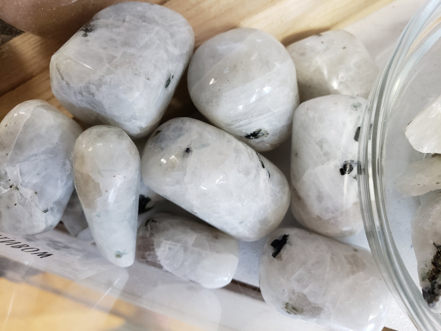 Moonstone, Rainbow - Tumbled - Tree Of Life Shoppe