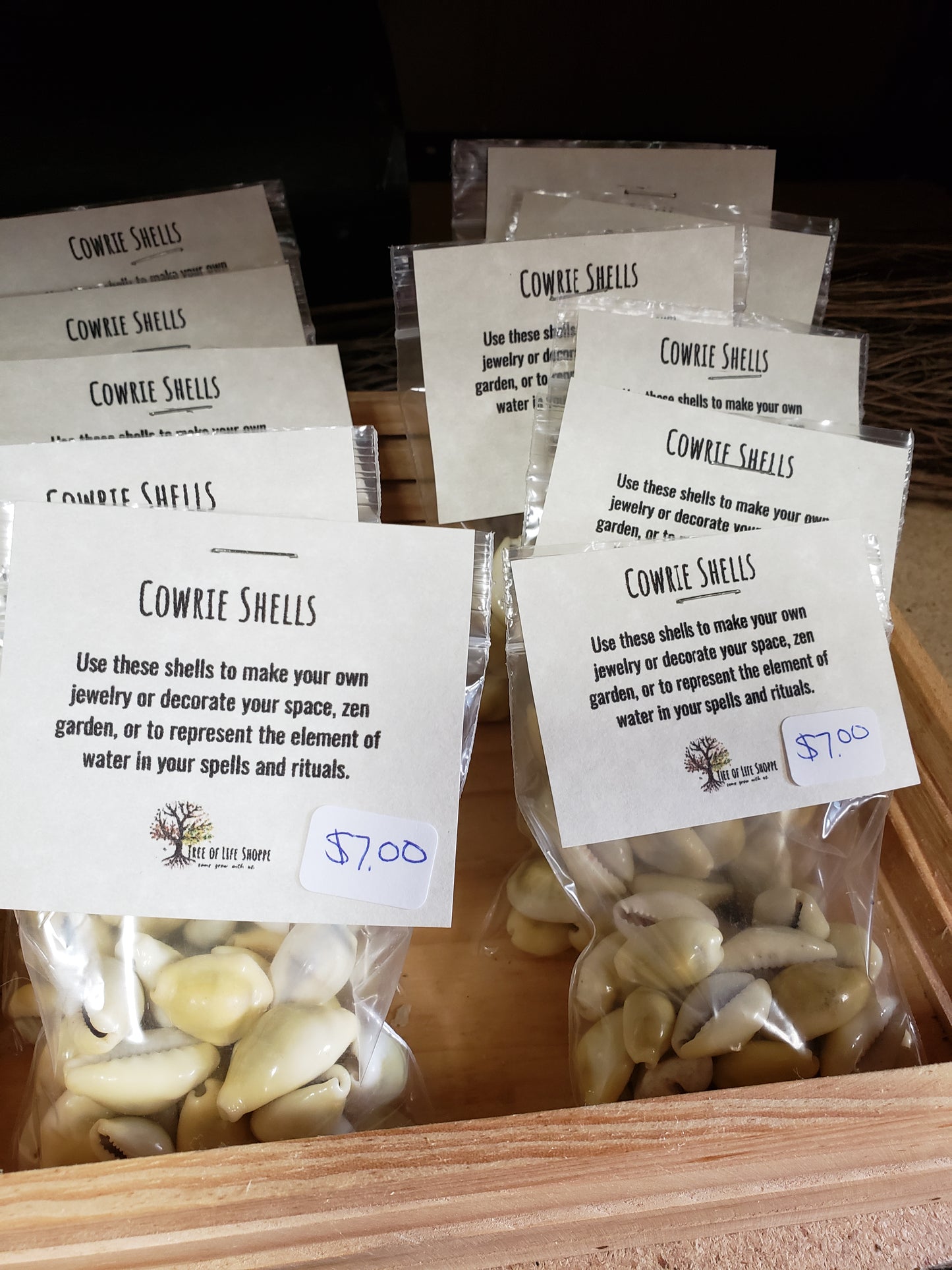 Cowrie Shells - Tree Of Life Shoppe