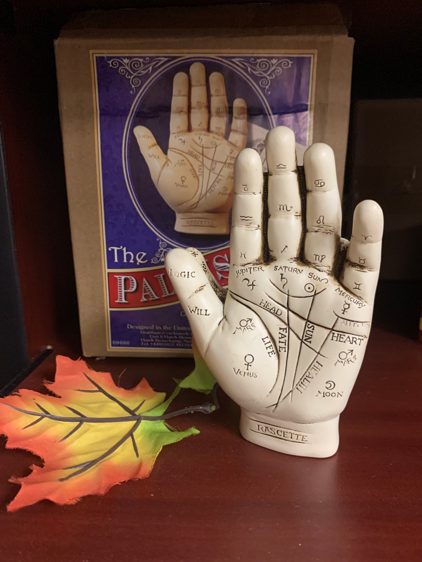 Palmistry Hand 5" - Tree Of Life Shoppe