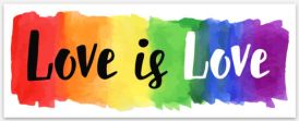 MAGNET: Love is Love, 3x1.7 inch