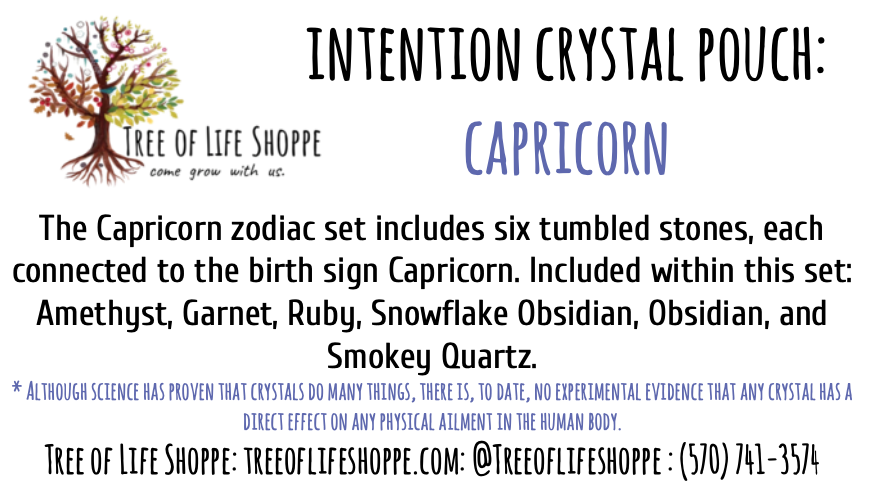Intention Crystal Pouch - Capricorn - Tree Of Life Shoppe