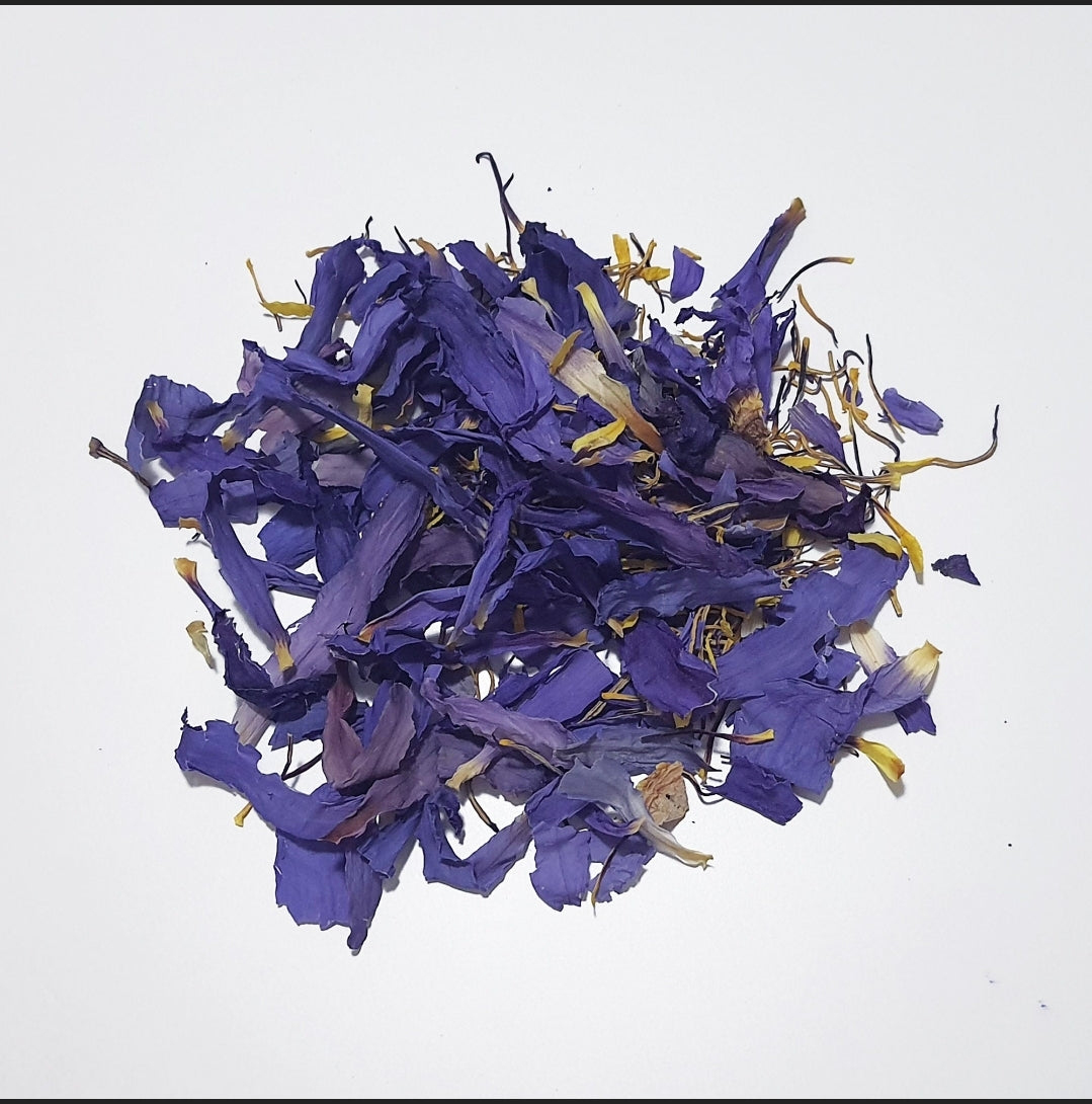 Blue Lotus - Organic Dried Flowers in Apothecary Jar