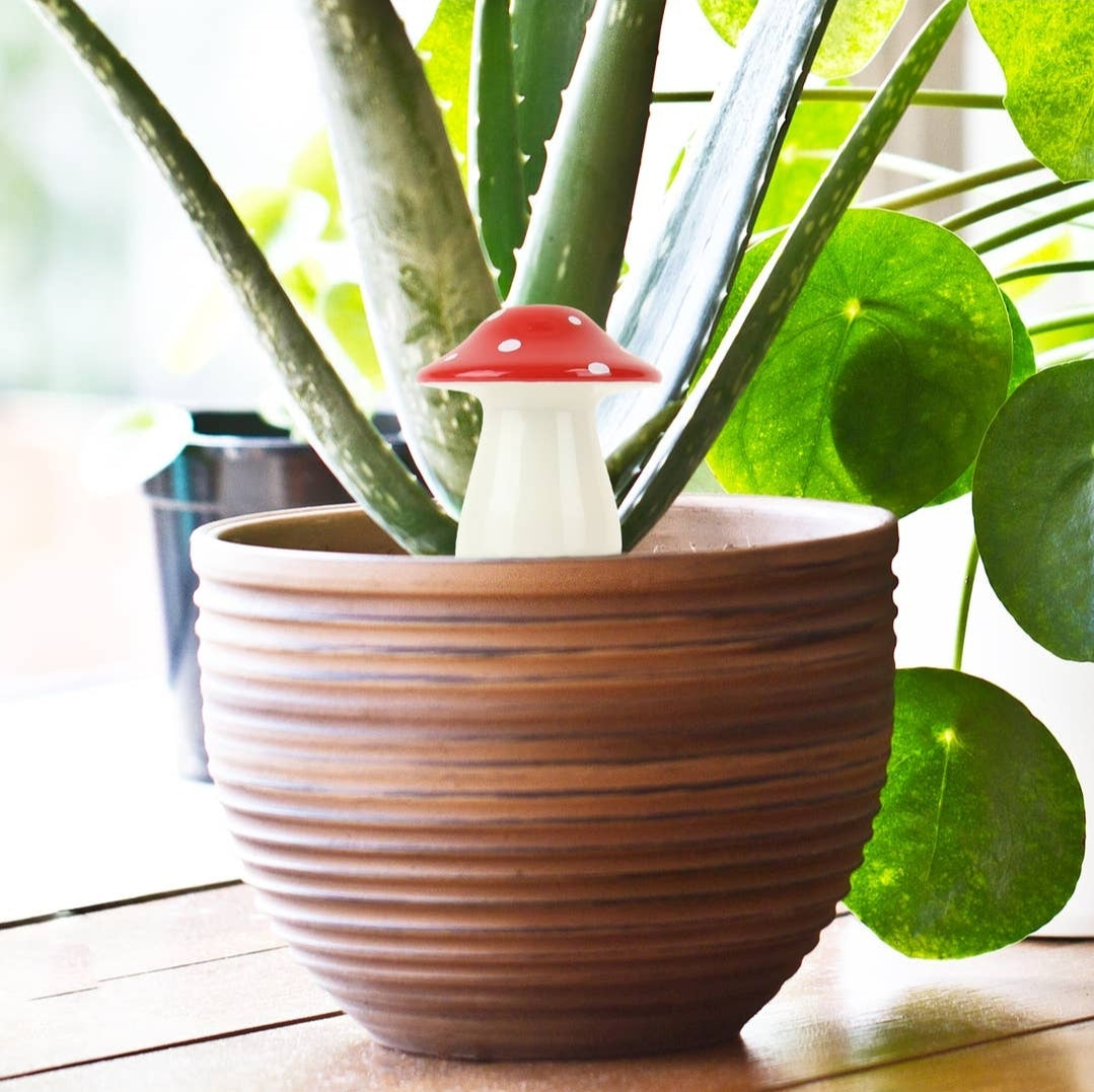 Mushroom Self Watering Plant Dispenser