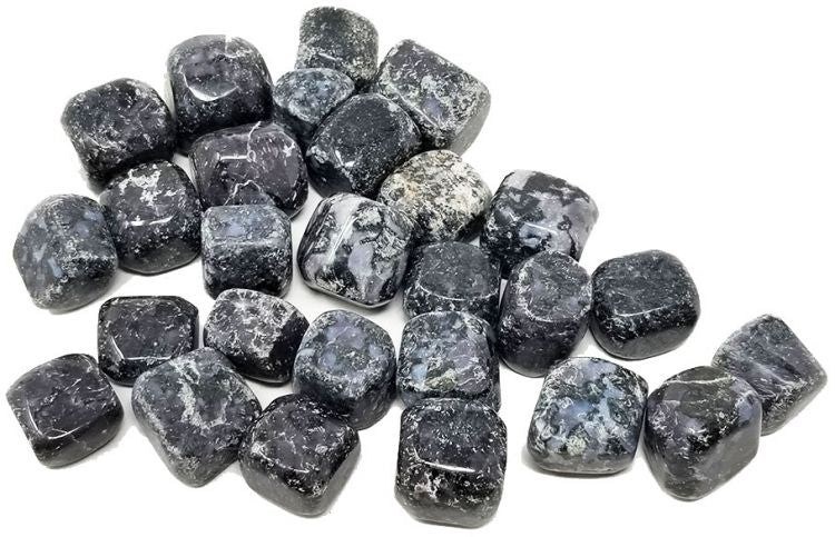 Indigo Gabbro (Merlinite) - Tumbled - Tree Of Life Shoppe