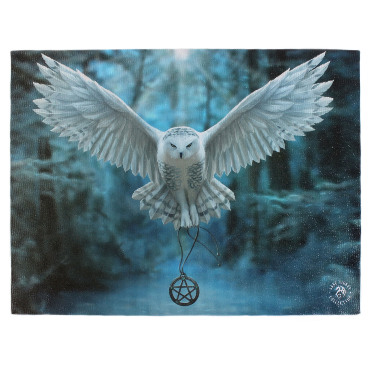 AWAKE YOUR MAGIC CANVAS ART PRINT BY ANNE STOKES - Tree Of Life Shoppe