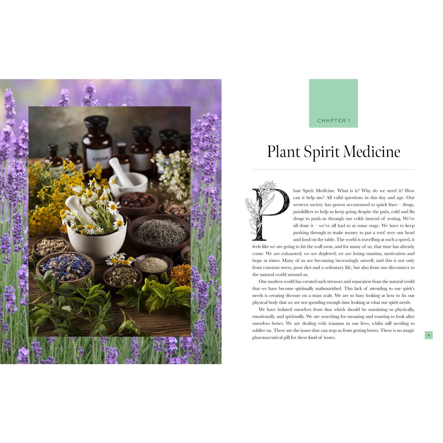 Plant Spirit Medicine