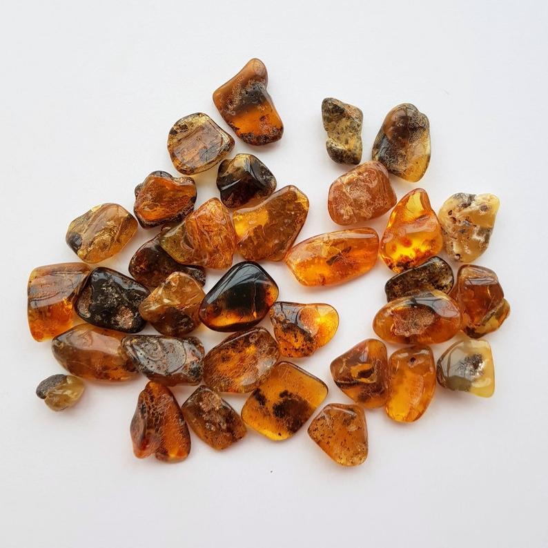 Baltic Amber - Tumbled - Tree Of Life Shoppe