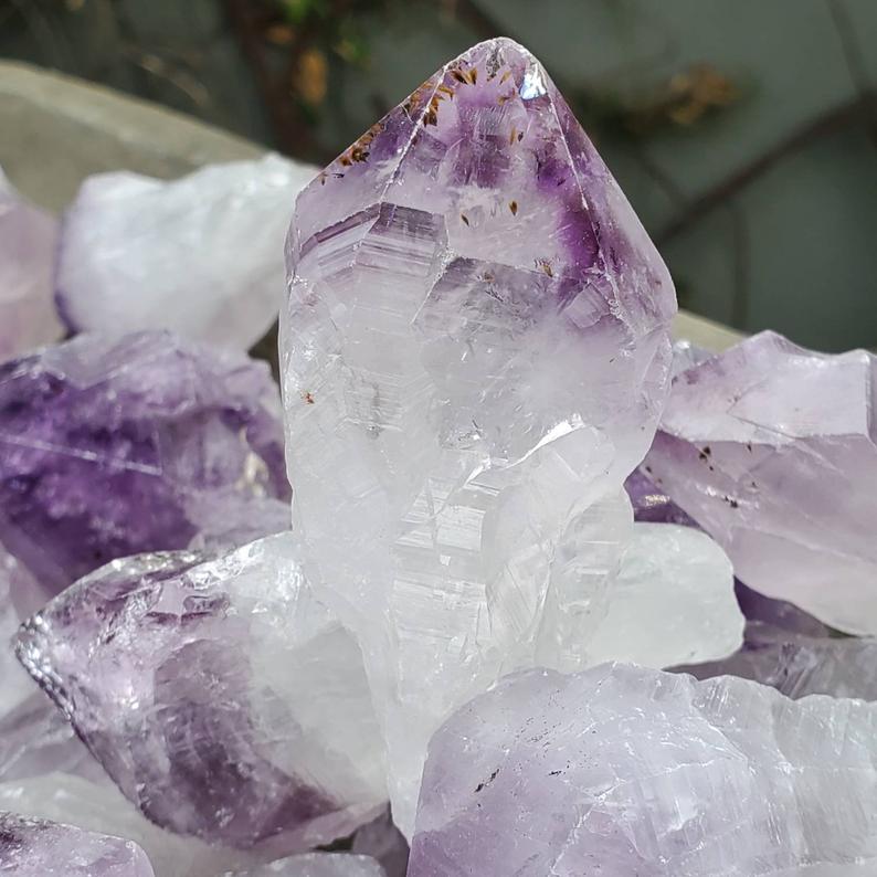 Amethyst - Point (Med and Large) - Tree Of Life Shoppe