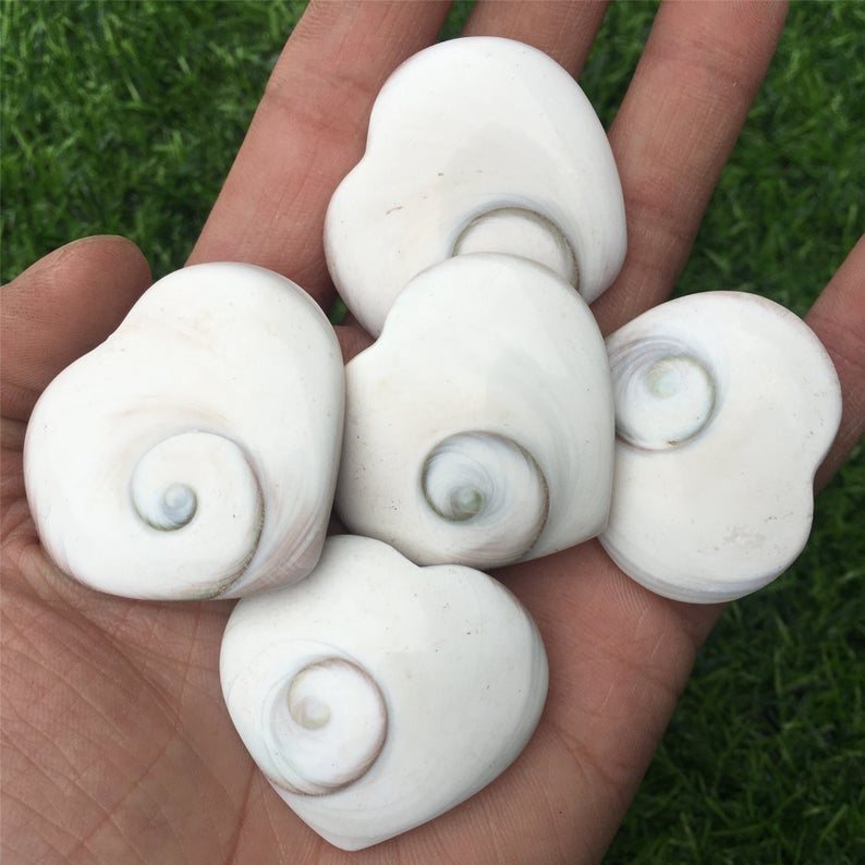 Natural Conch Shell Heart