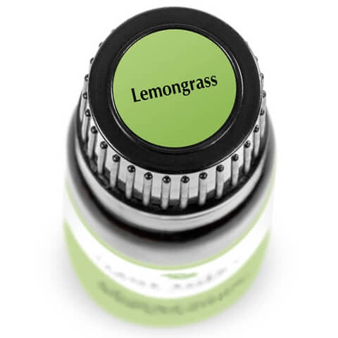 Lemongrass Essential Oil 10ml - Tree Of Life Shoppe