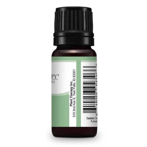 Fennel Sweet Essential Oil 10ml - Tree Of Life Shoppe