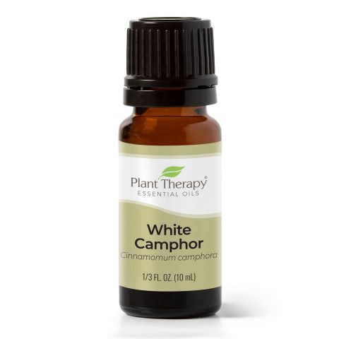 White Camphor Essential Oil 10 ml