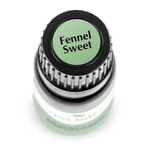 Fennel Sweet Essential Oil 10ml - Tree Of Life Shoppe