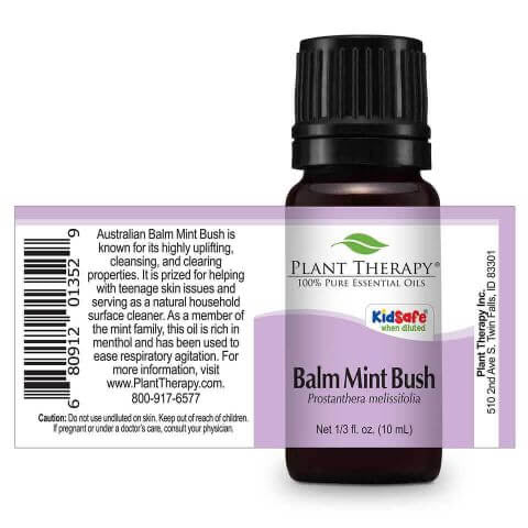 Balm Mint Bush Essential Oil 10ml - Tree Of Life Shoppe
