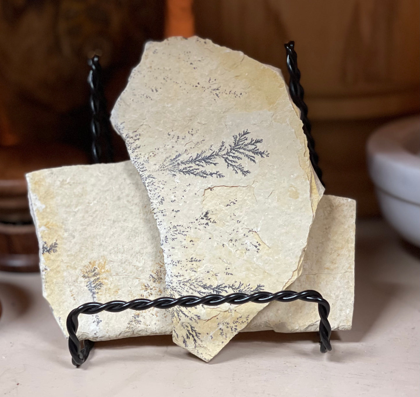 Dendrites on Limestone Slabs
