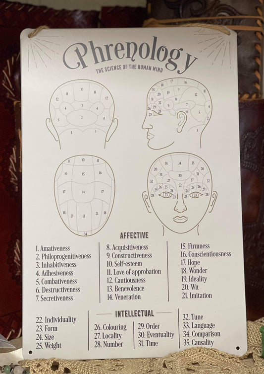 Wall Art Tin  Phrenology