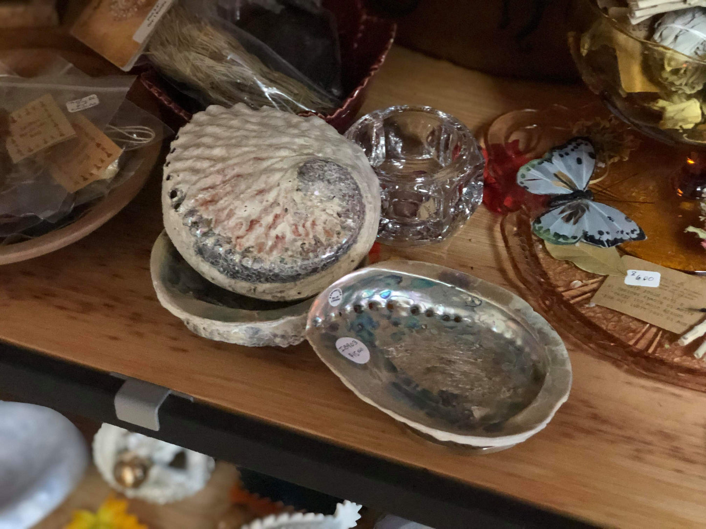 Abalone Shells - Tree Of Life Shoppe