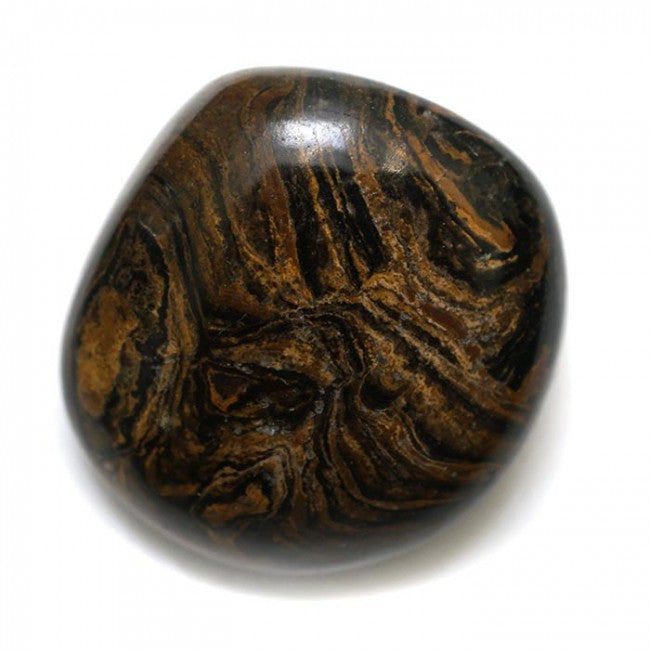 Stromatolite Tumbled - Tree Of Life Shoppe