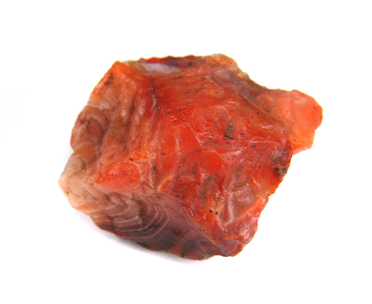 Carnelian - Raw - Tree Of Life Shoppe