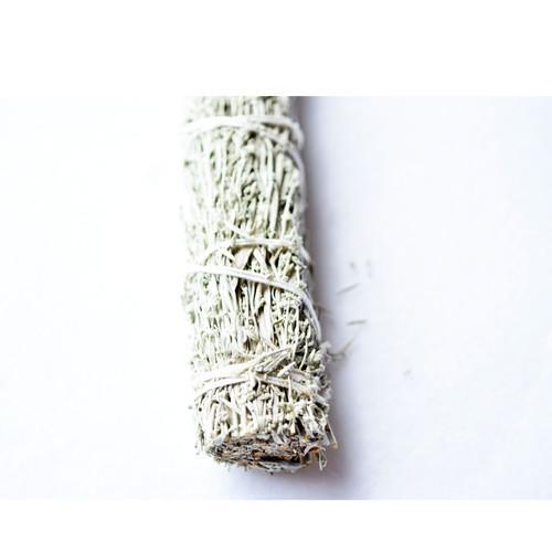 Blue Sage Smudge Stick - Tree Of Life Shoppe
