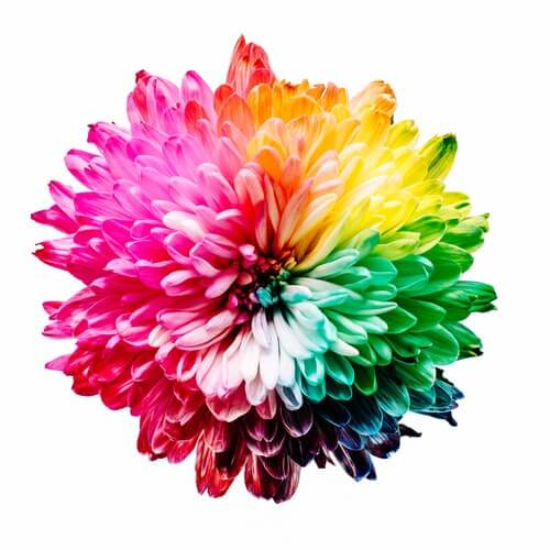 What is Color Therapy, Chromotherapy, Light Therapy ? - Tree Of Life Shoppe