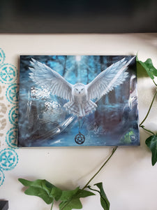 Fantasy Canvas Art Prints