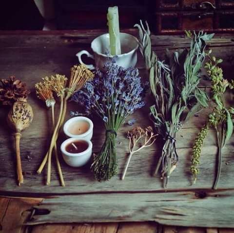 Herbal Cabinet &amp; Supplies