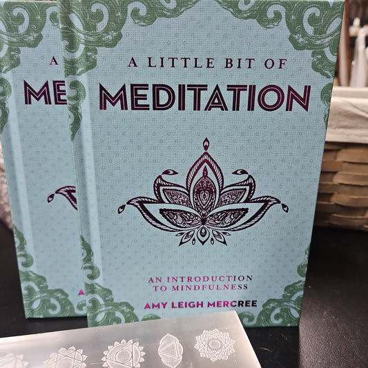 A Little Bit of Meditation By Amy Leigh Mercree