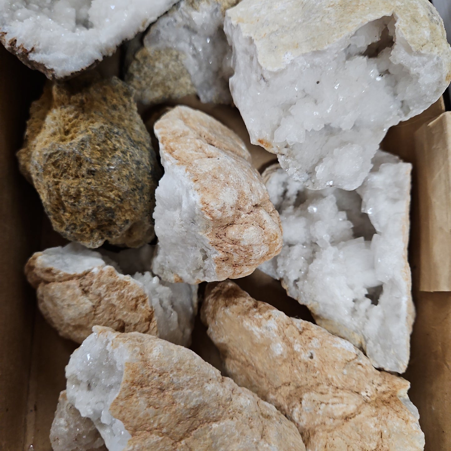 Open Geodes Specemens  - Natural Quartz Geodes - Various Sizes