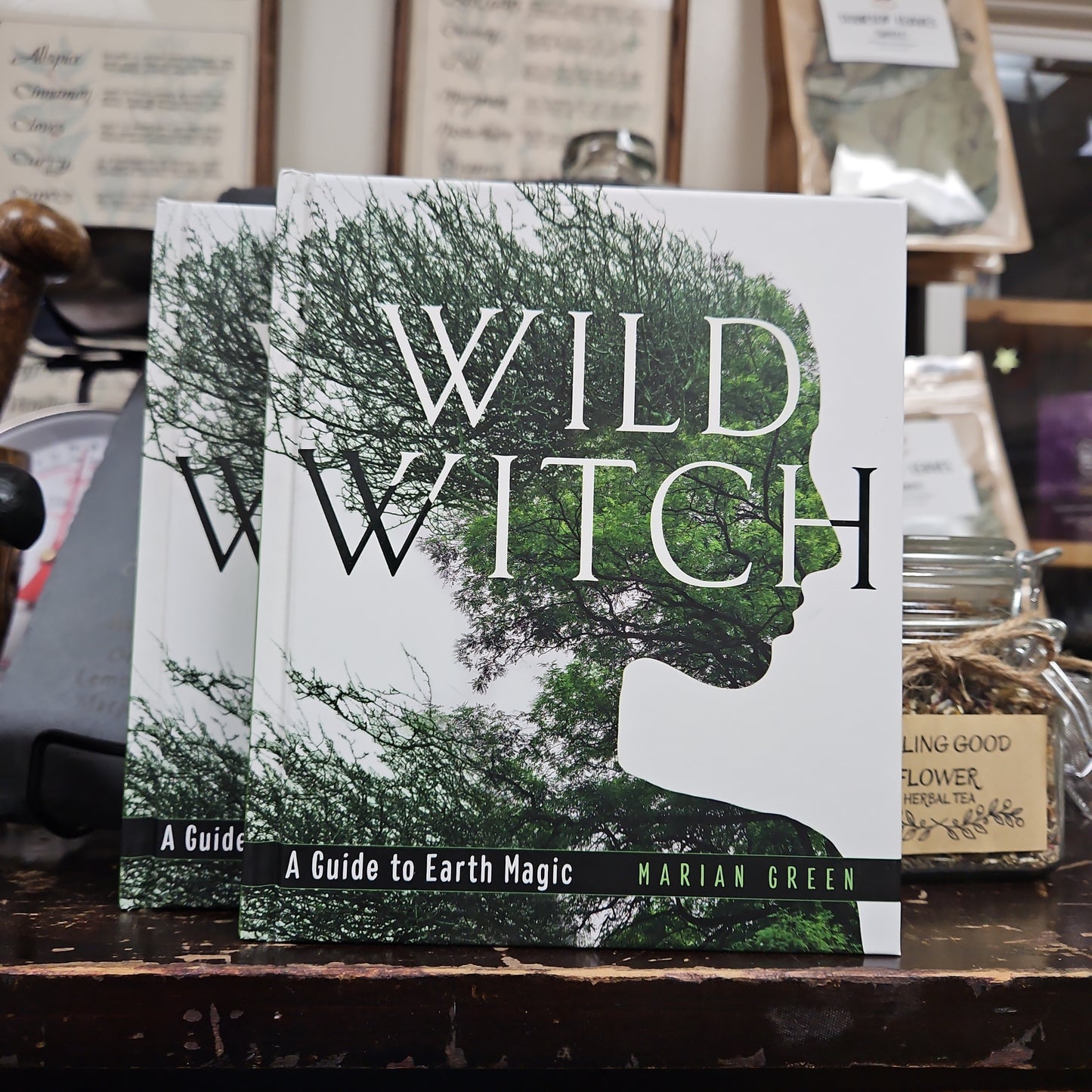 Wild Witch (Hard Cover)