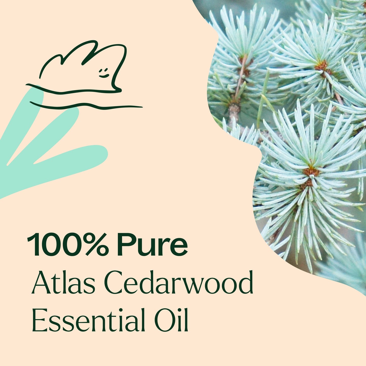 Atlas Cedarwood Essential Oil 10 Ml ( Kidsafe )