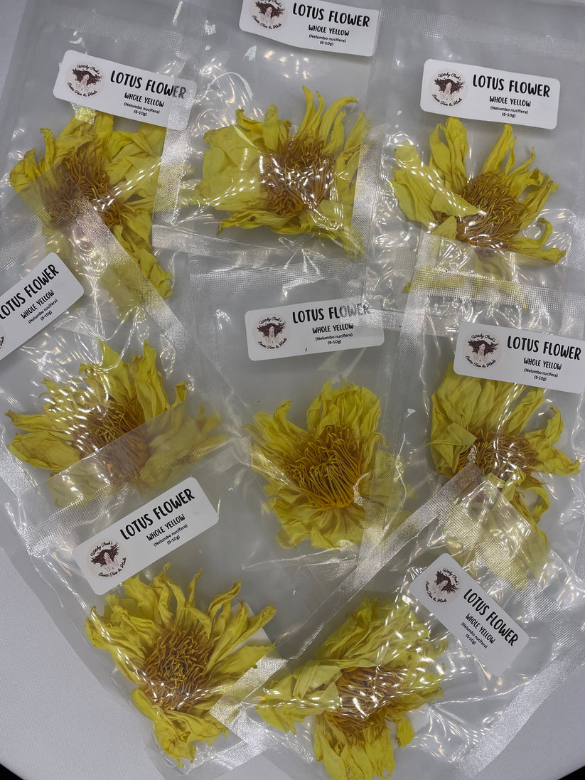 Yellow Lotus Flower Whole Flower Dried