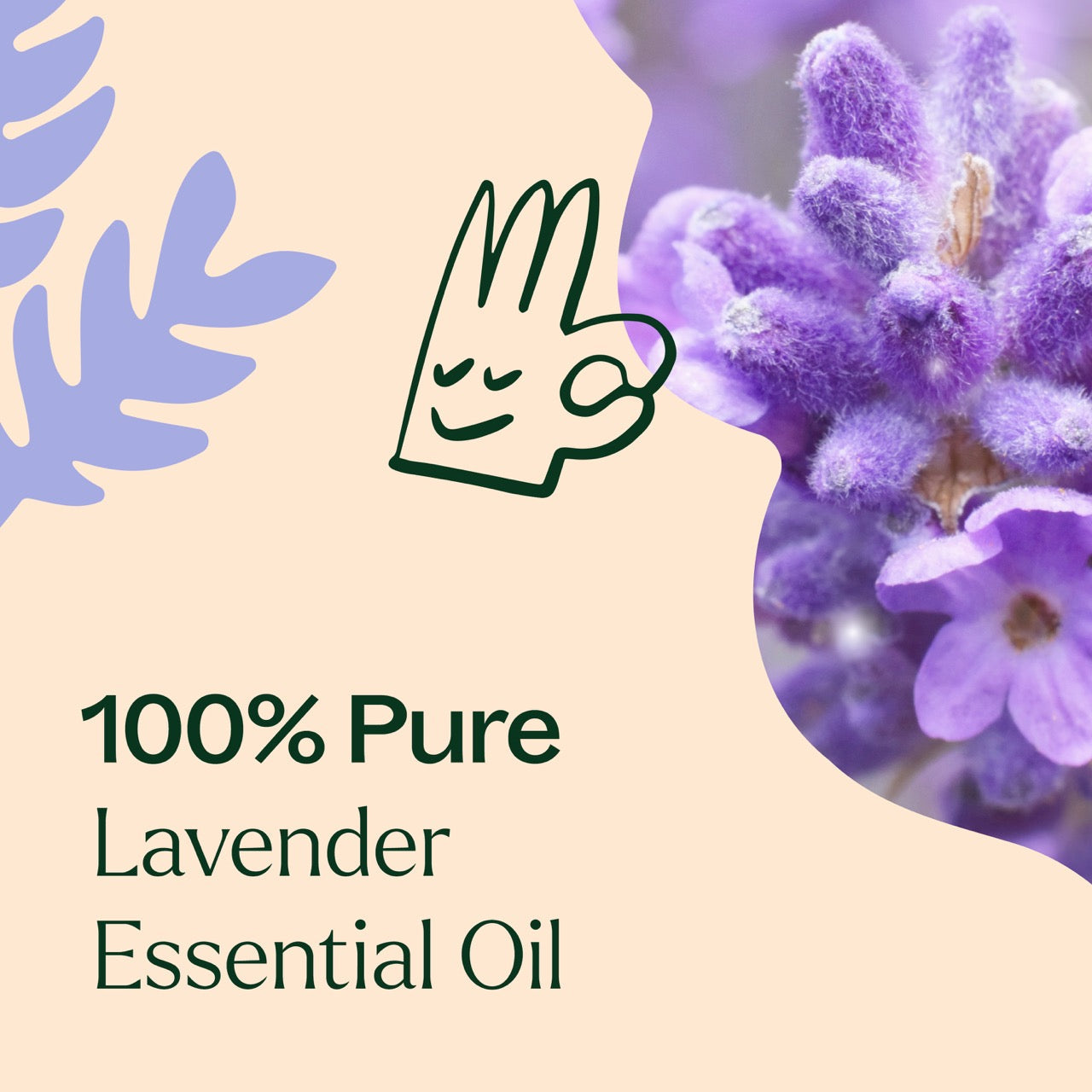 Lavender Essential Oil 10ml ( Kidsafe )