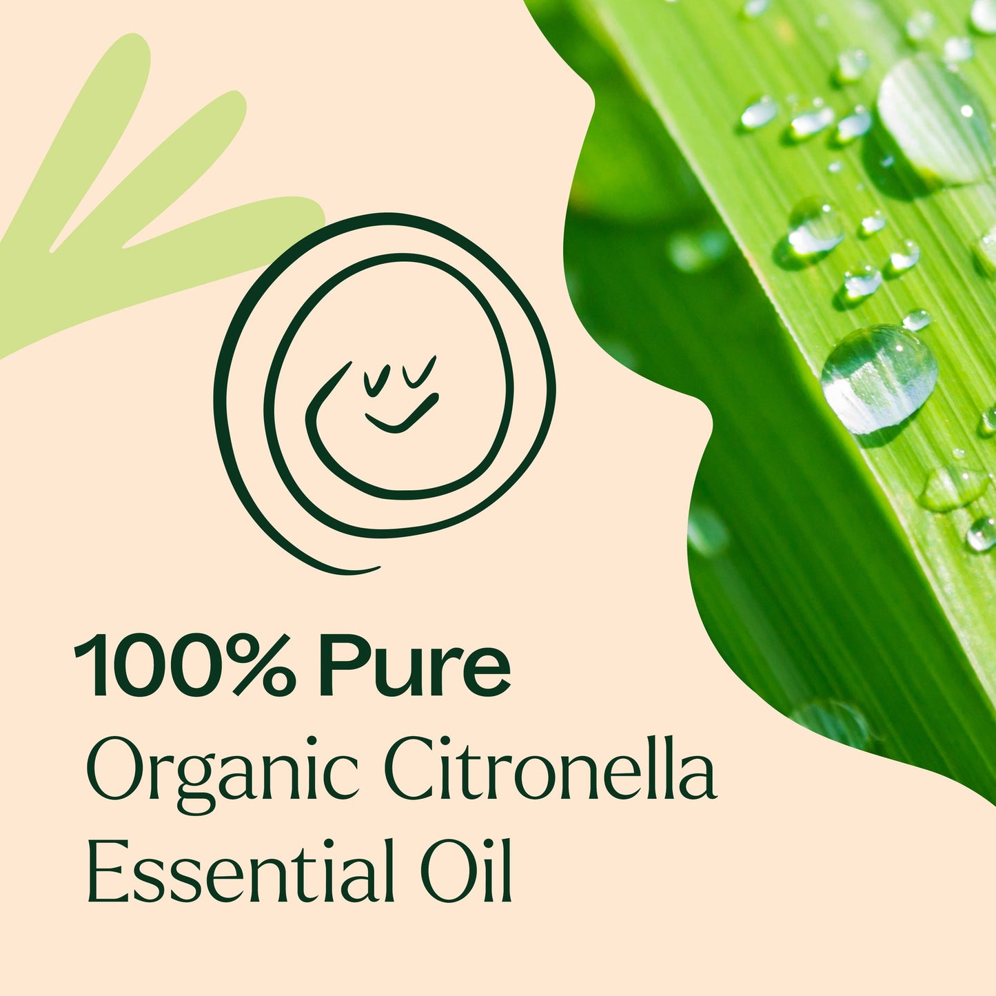 Citronella Essential Oil 10ml Organic ( Kidsafe )