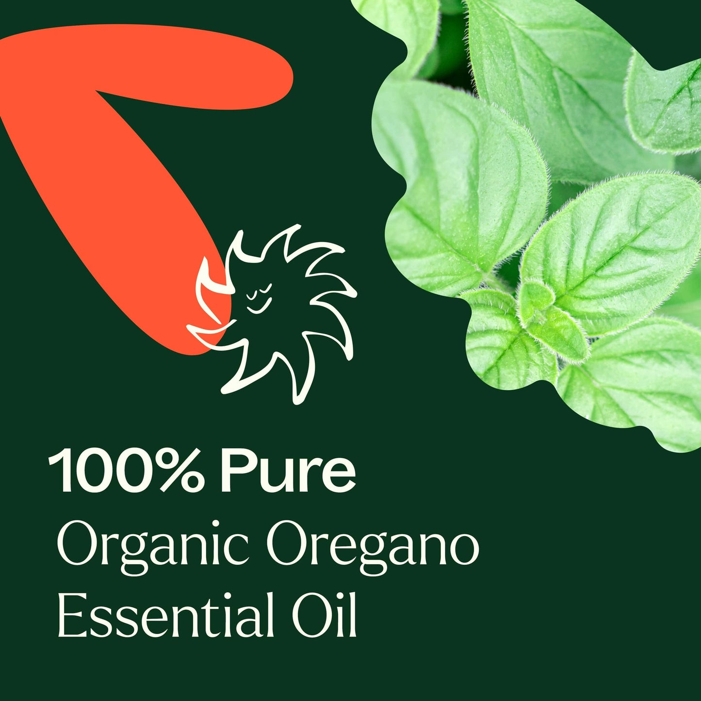 Oregano Essential Oil 10ml Organic