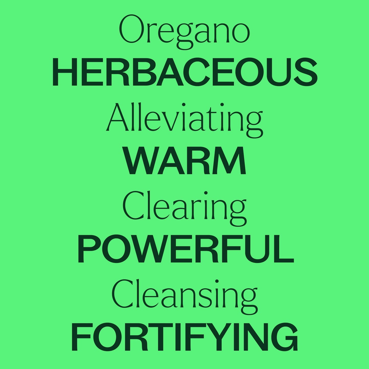 Oregano Essential Oil 10ml Organic