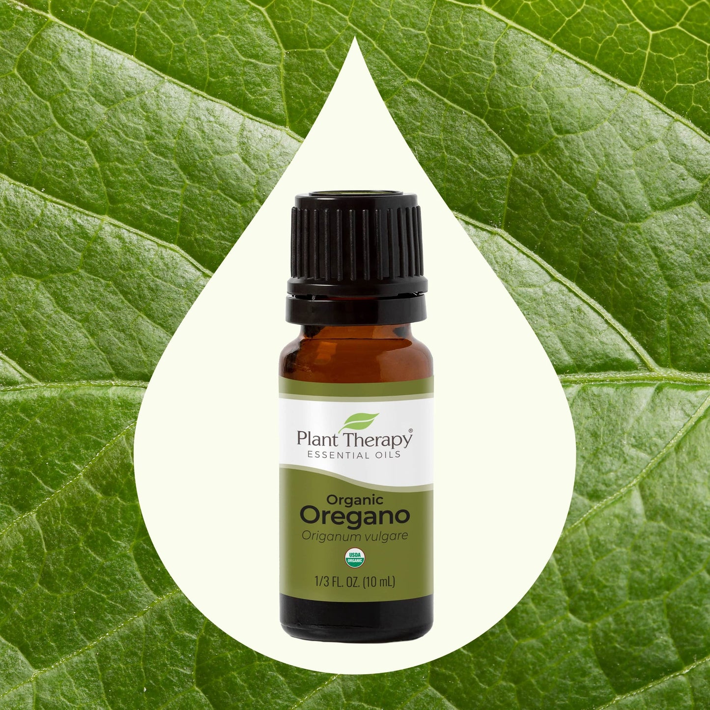 Oregano Essential Oil 10ml Organic