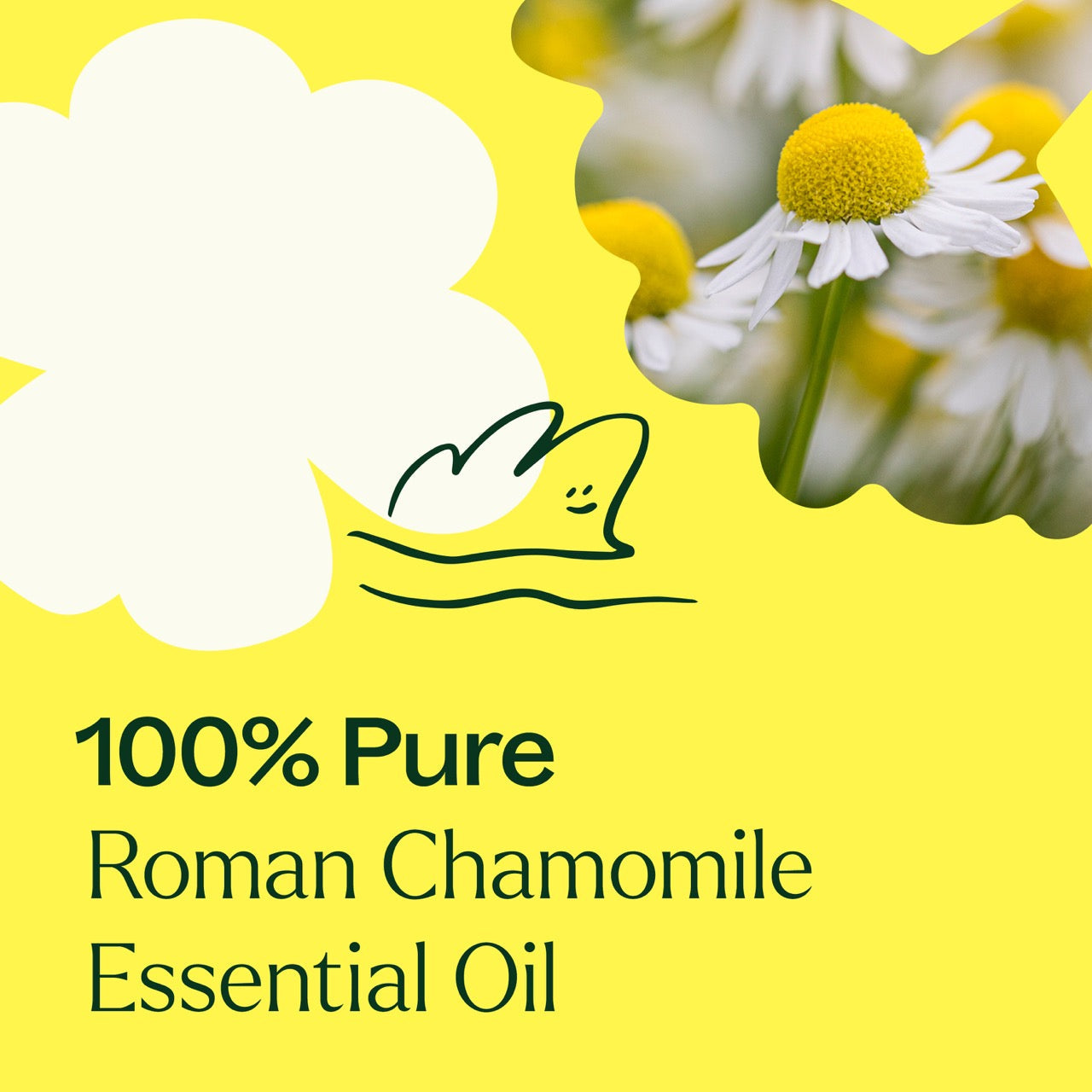 Chamomile Roman Essential Oil 10 ml ( Kidsafe )