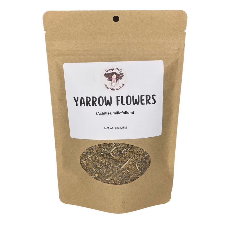 Yarrow Flower (Achillea millefolium) - Herb