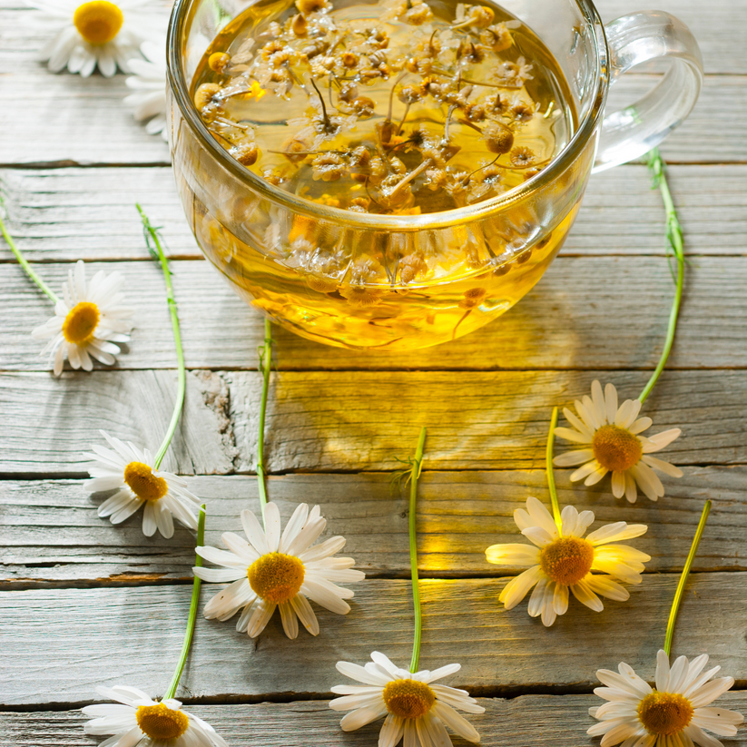 Chamomile Flower Herb / Tea