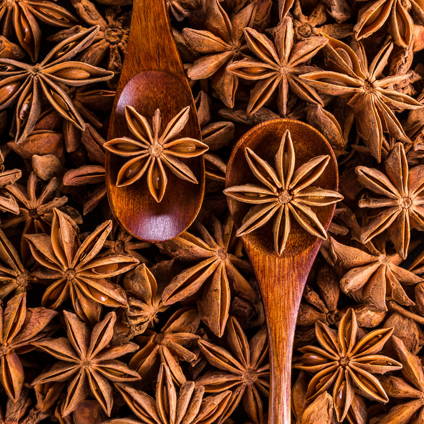 Anise Stars, Whole and Pieces Herb