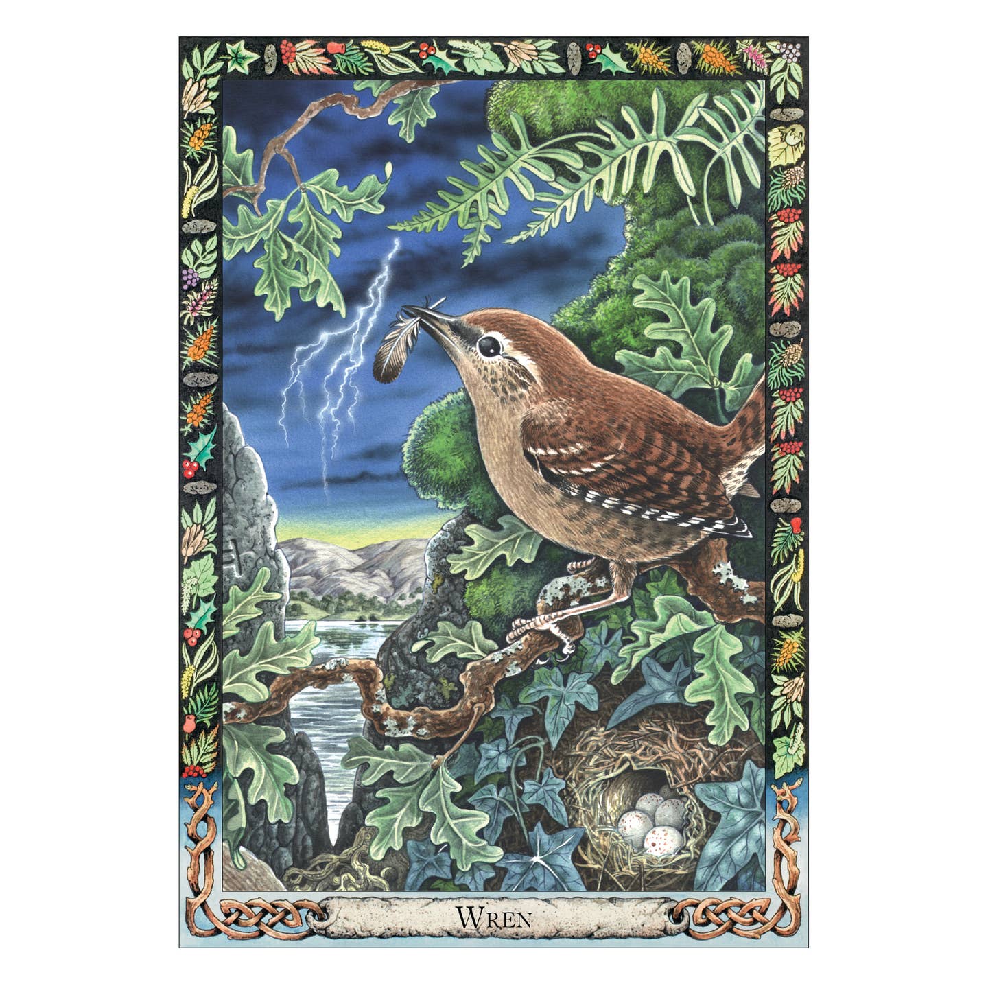 The Druid Animal Oracle Deck (36 Cards and 48 Page Booklet)