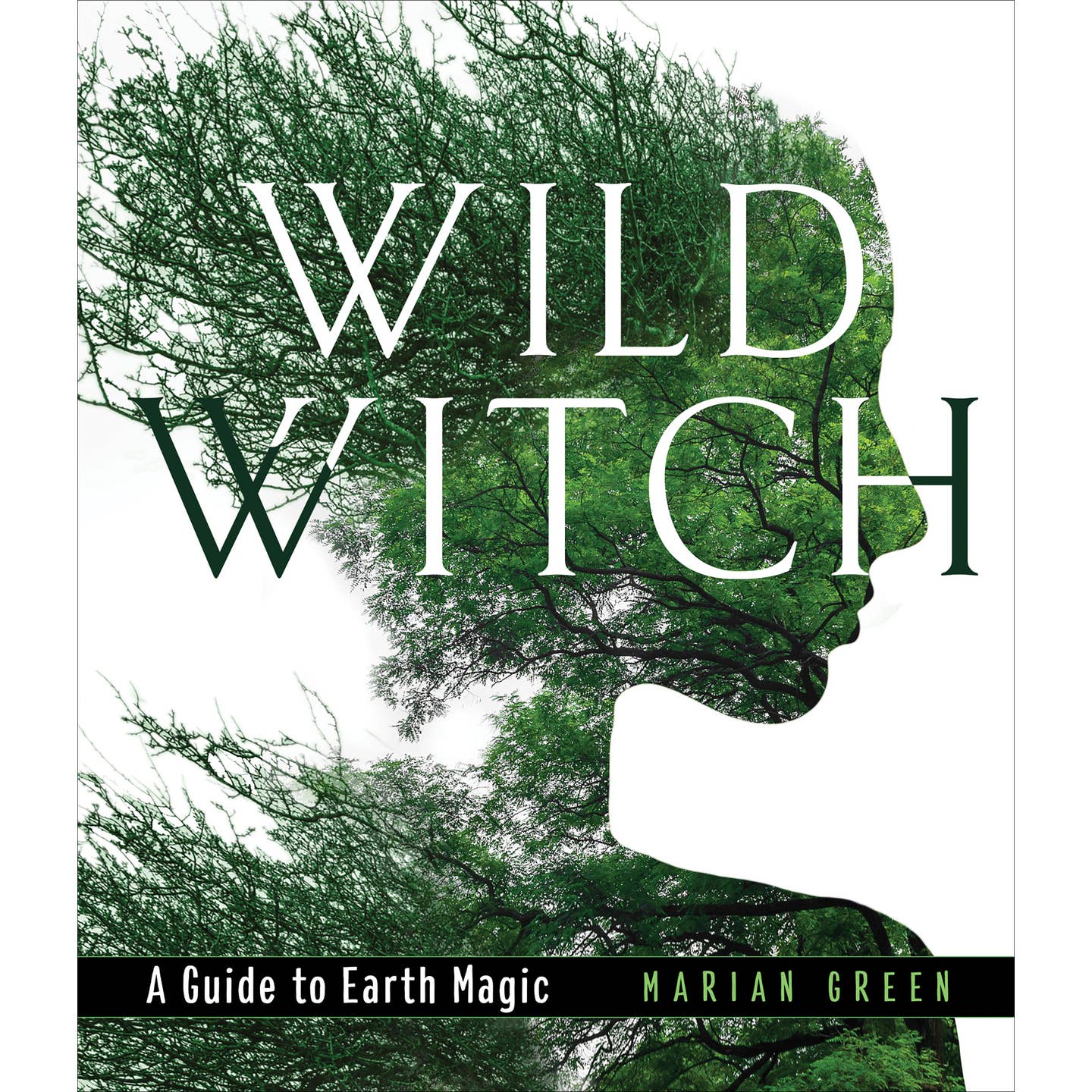 Wild Witch (Hard Cover)