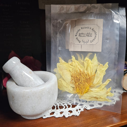 Yellow Lotus Flower Whole Flower Dried