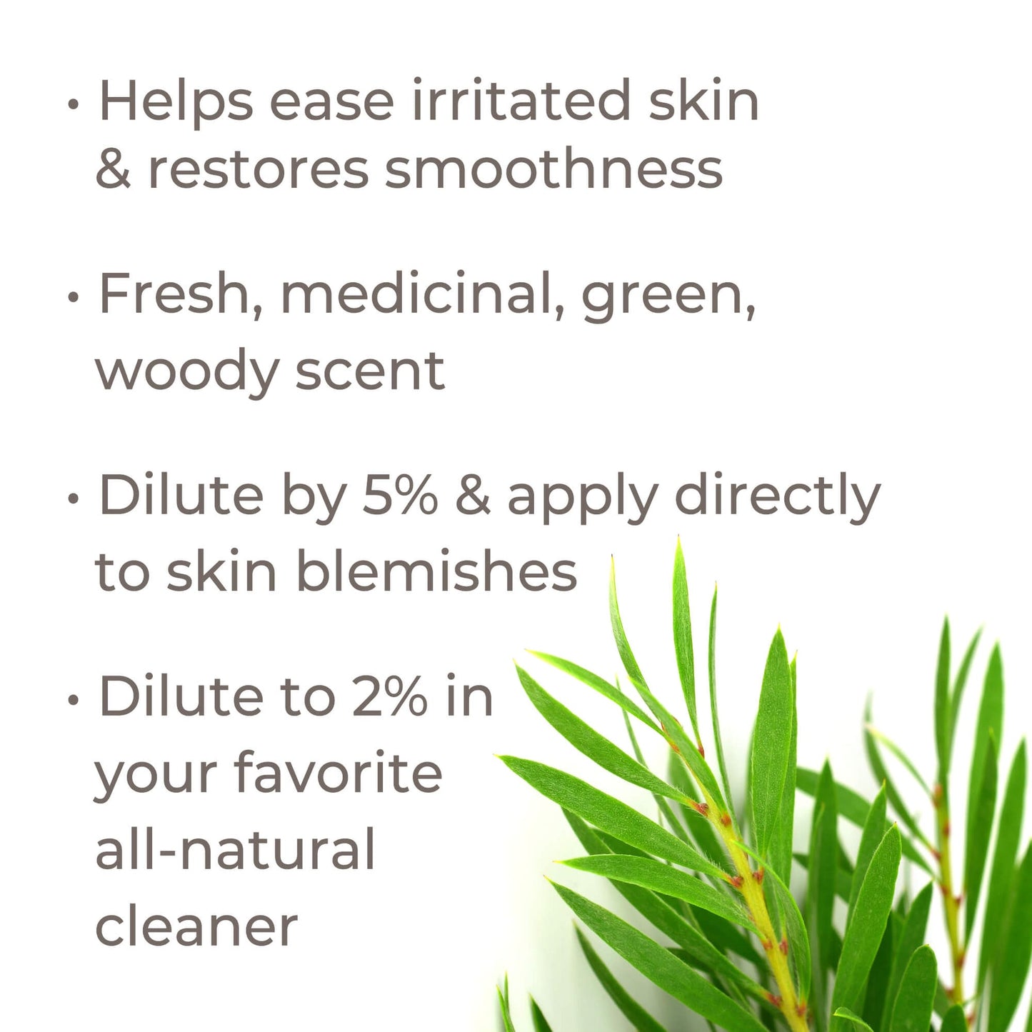 Tea Tree Essential Oil Pre-Diluted Roll-On