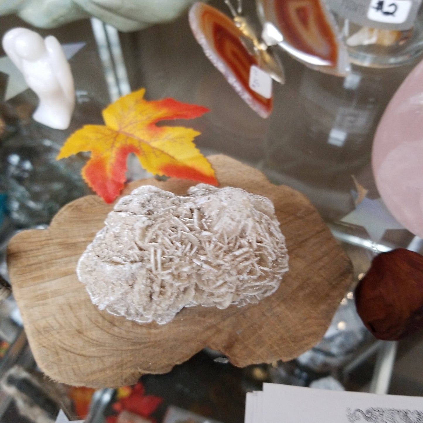 Desert Rose (various sizes) - Tree Of Life Shoppe